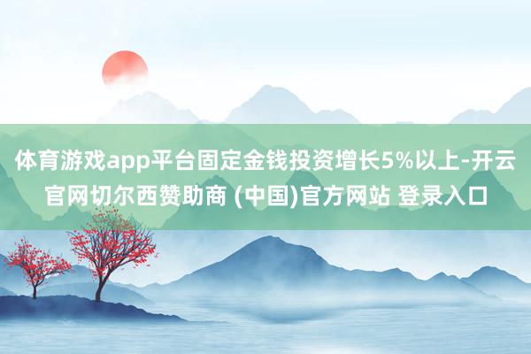 体育游戏app平台固定金钱投资增长5%以上-开云官网切尔西赞助商 (中国)官方网站 登录入口