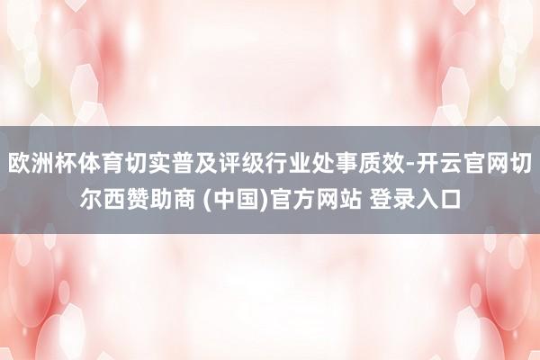 欧洲杯体育切实普及评级行业处事质效-开云官网切尔西赞助商 (中国)官方网站 登录入口