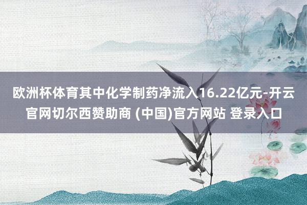 欧洲杯体育其中化学制药净流入16.22亿元-开云官网切尔西赞助商 (中国)官方网站 登录入口